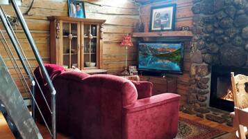 TV connectée, cheminée, livres