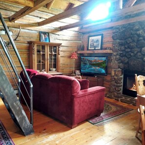 Smart TV, fireplace, books