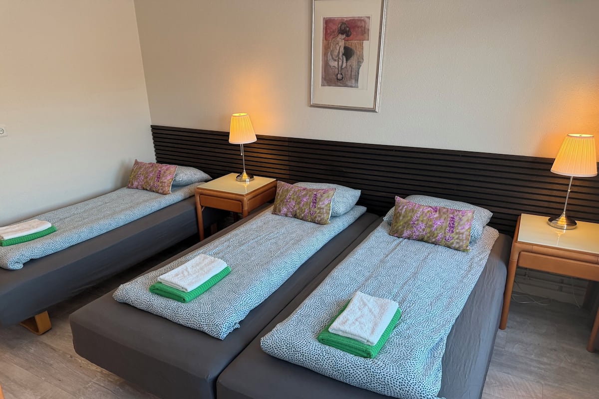 Basic Triple Room | Laptop workspace, free WiFi