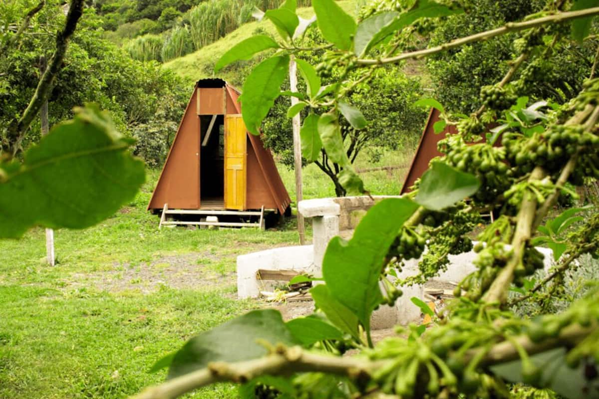 Comfort-Zelt, Gartenblick | 1 Schlafzimmer, kostenloses WLAN