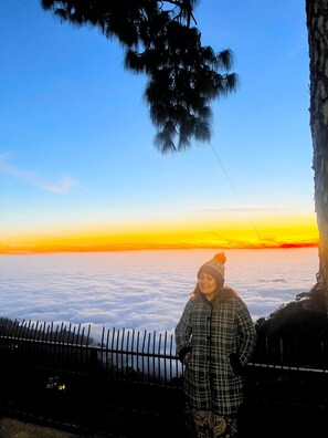 Exterior - The Cloud Homestay (Nahan)