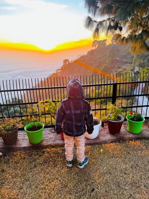 Exterior - The Cloud Homestay (Nahan)