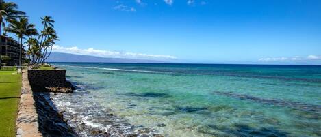 Accommodatie ligt op het strand