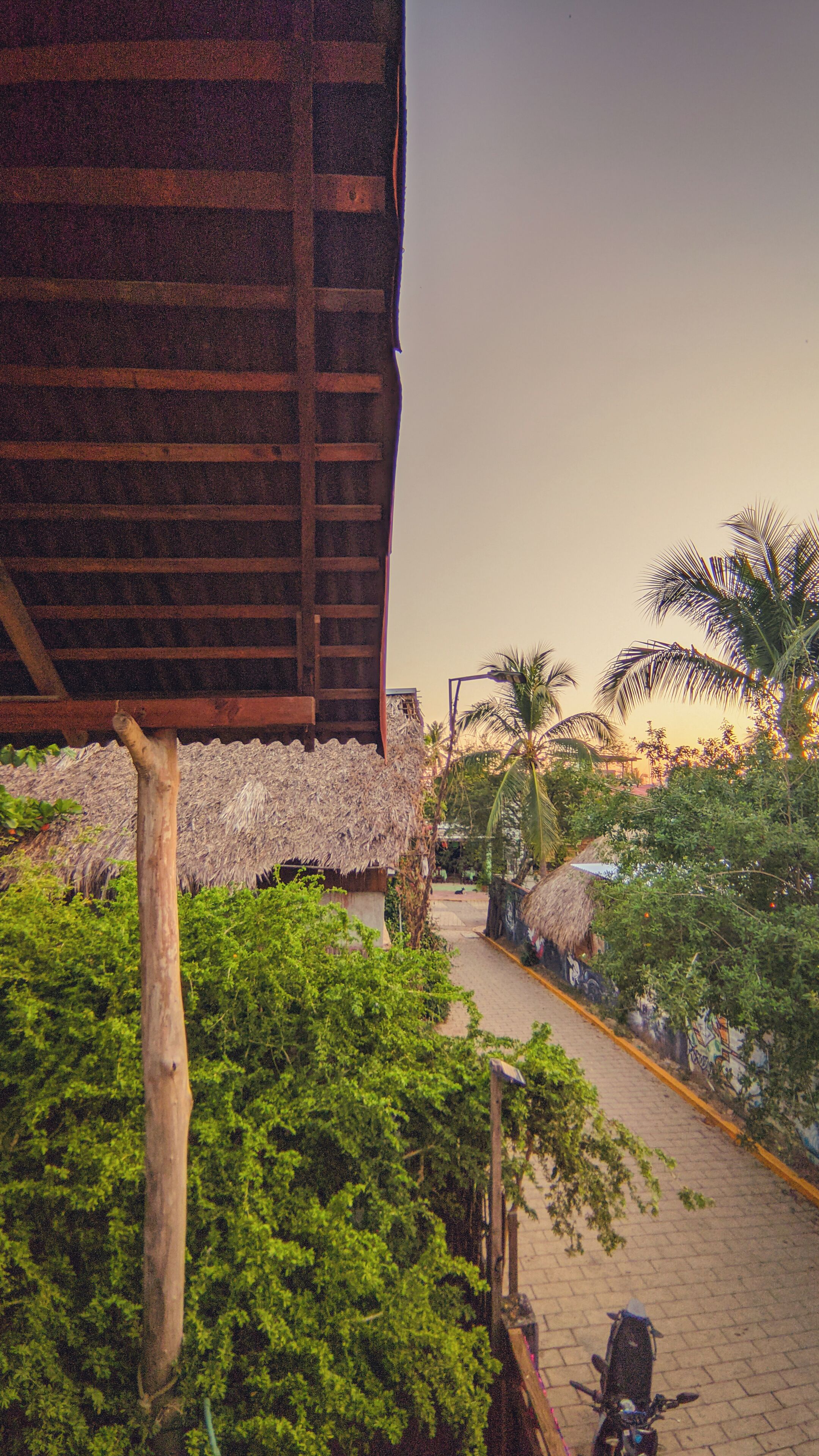 A pathway leading to a building with a thatched roof, surrounded by greenery and palm trees.