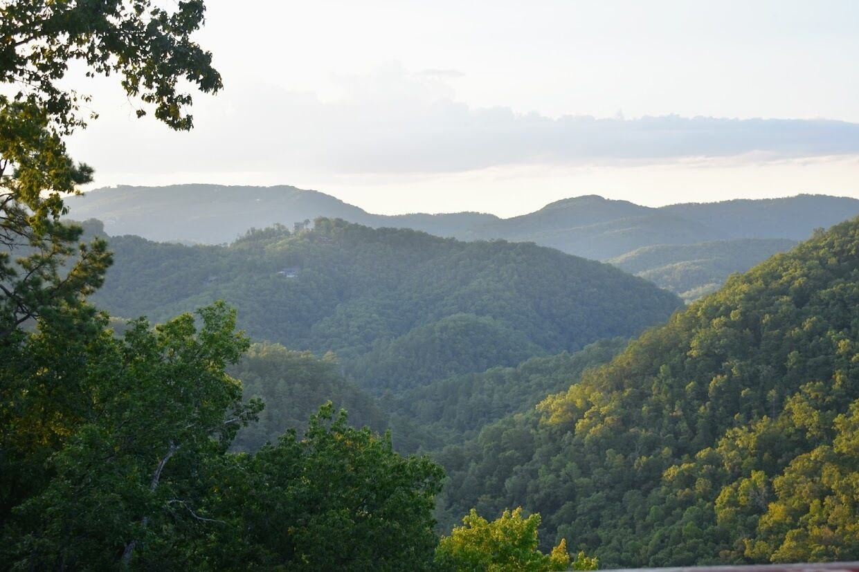 A mountainous landscape with dense forest coverage.