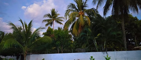 Zwembad