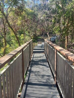 Walk across this serene bridge surrounded by lush foliage.
