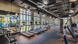 A gym with treadmills, weight machines, and exercise balls.