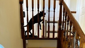 Una escalera de madera con un perro en la barandilla.
