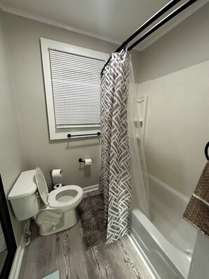 Shower, hair dryer