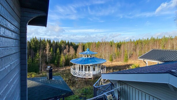 A gazebo with a blue roof surrounded by a forest.