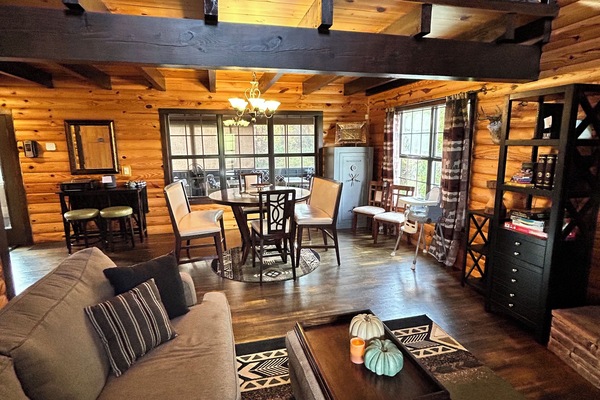 TV connectée, cheminée, livres, médiathÚque