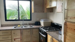 Una cocina con armarios de madera, estufa a gas, lavamanos y ventana con vista a palmeras.