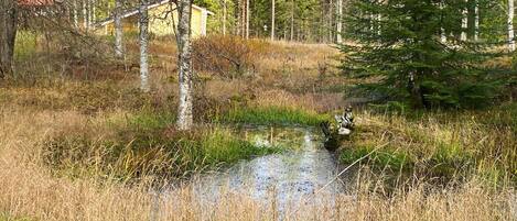 A forested area with a small stream, a wooden cabin, and a statue.
