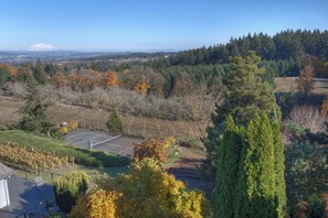 Sports court - Charming Vineyard Retreat in Willamette Valley (Newberg)