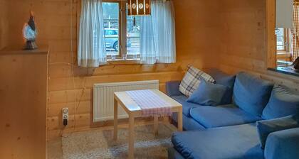 Pet friendly home in Sälen with sauna