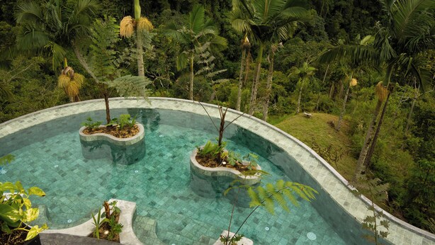 Una piscina de borde curvo, rodeada de abundante vegetación y altas palmeras.