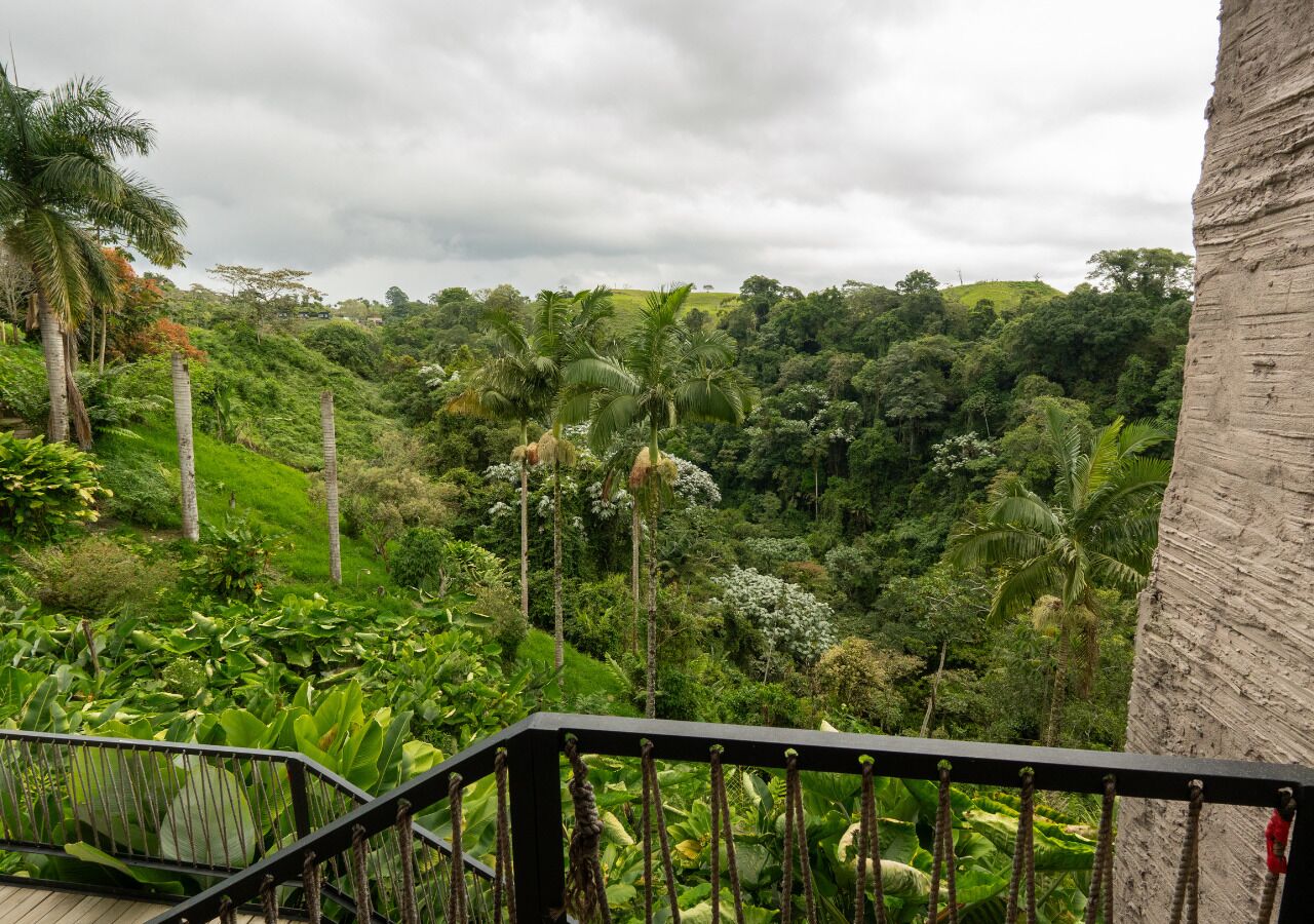 A lush green landscape with a staircase leading to a higher vantage point.