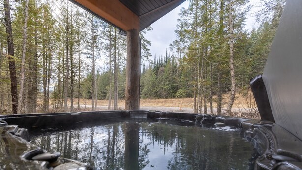 Un espace avec un bain à remous, une terrasse en bois et une vue sur la forêt.