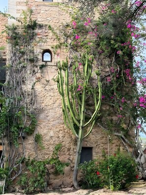 Exterior detail - Holiday Home 'Finca Son Xona' with Mountain View, Private Pool and Wi-Fi (Capdepera)