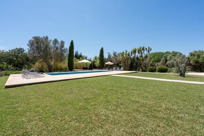 A swimming pool with lounge chairs and umbrellas, surrounded by a well-maintained lawn and various trees.