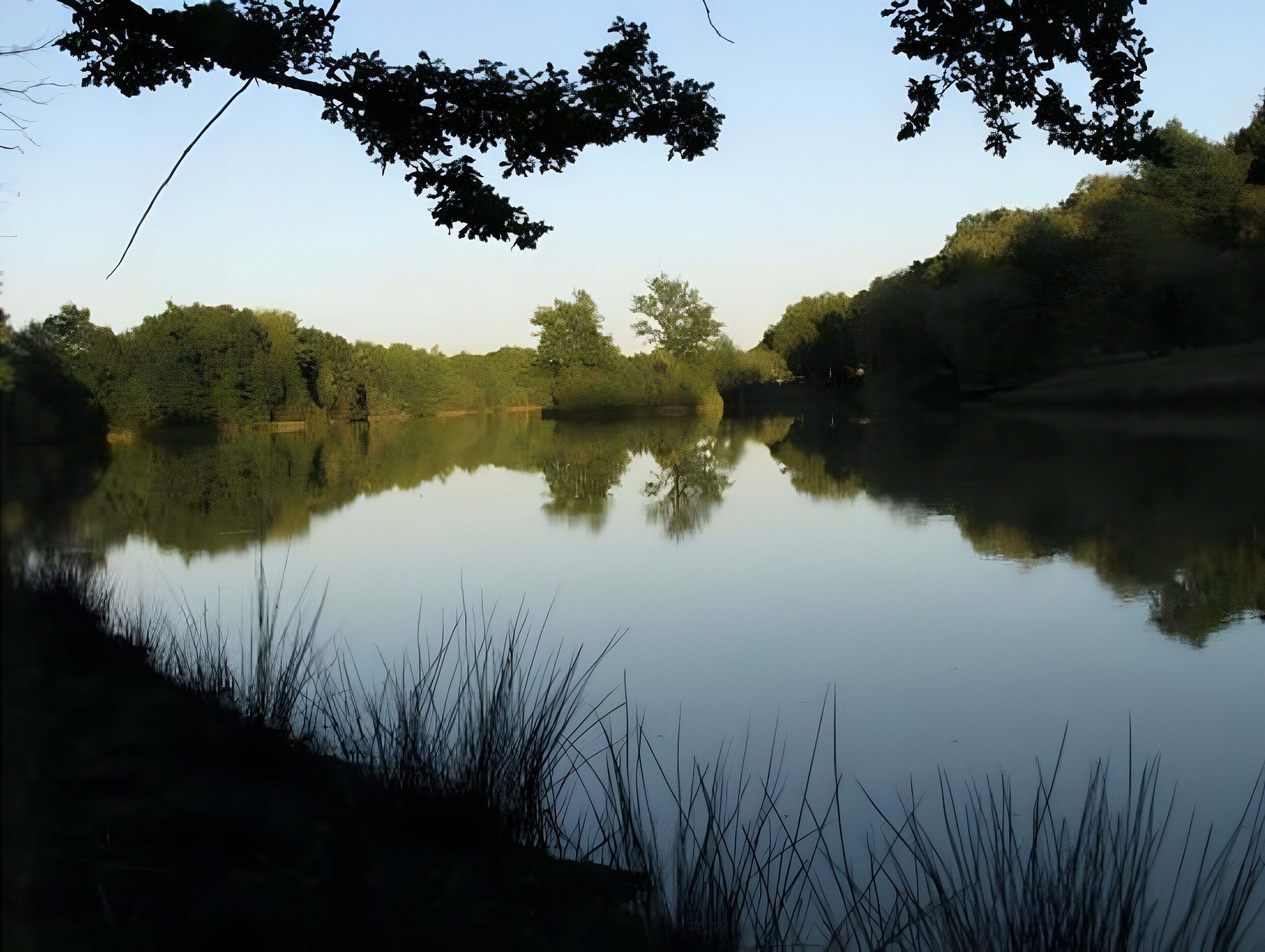 A calm lake surrounded by trees.