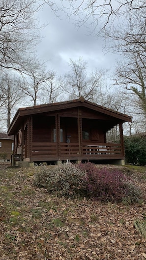 A wooden cabin with a porch, surrounded by leaf-covered ground and trees.