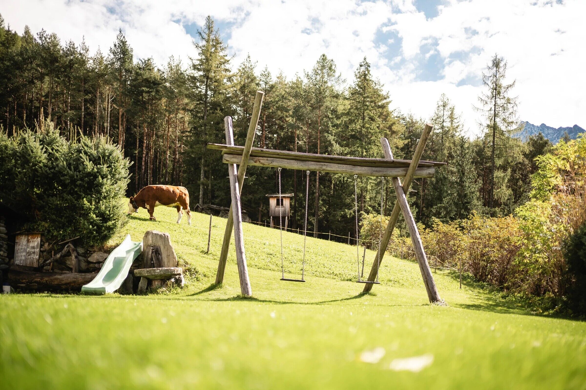 Overnattingsstedets uteområder