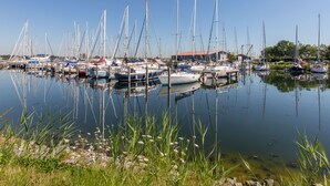 A marina with multiple sailboats docked, surrounded by calm water and greenery.