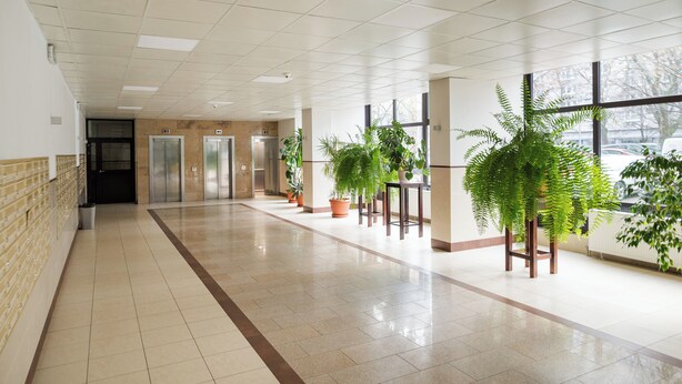 A clean, well-lit hallway with a tiled floor, potted plants, and a view of the outside through large windows.