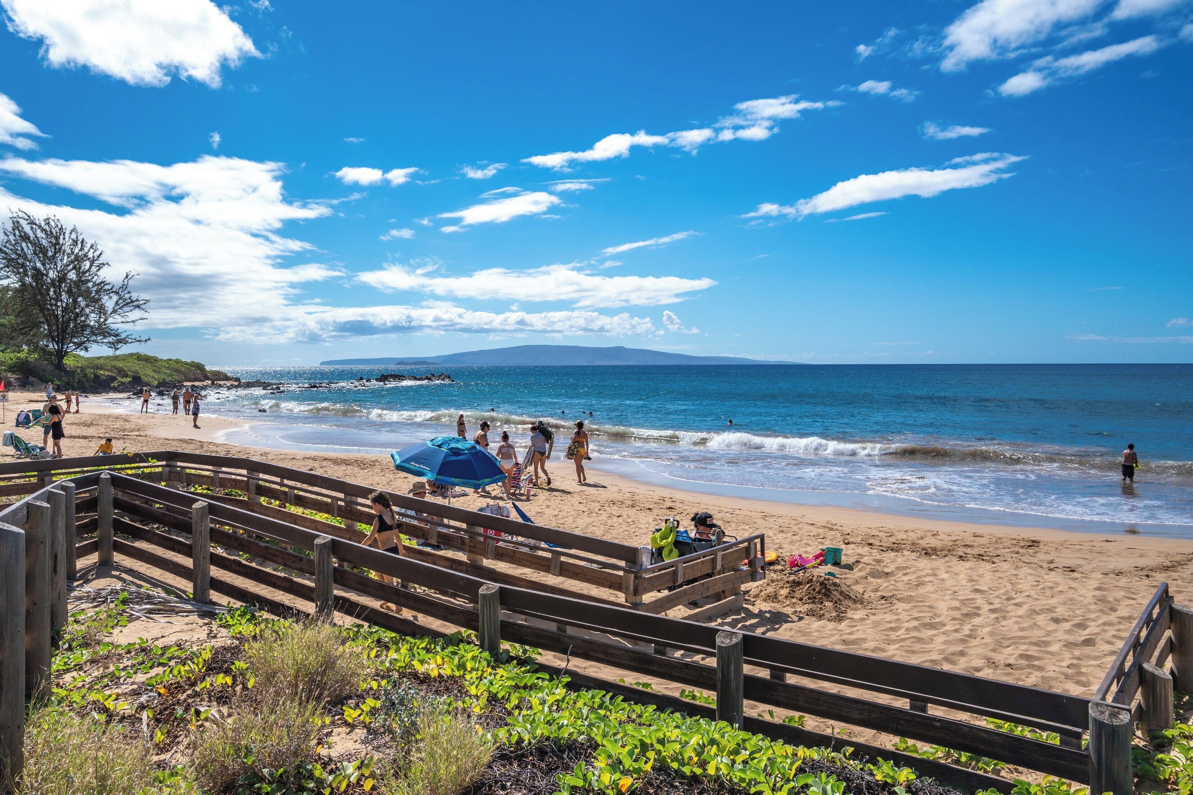 Nära stranden och parasoller