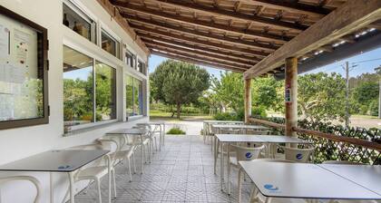 Room 'Quarto 1 - Jorge Galinheiro' with Mountain View, Shared Garden and Wi-Fi