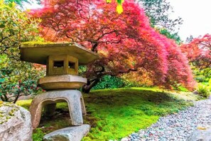 Une lanterne en pierre dans un jardin, avec un arbre aux feuilles d’automne.