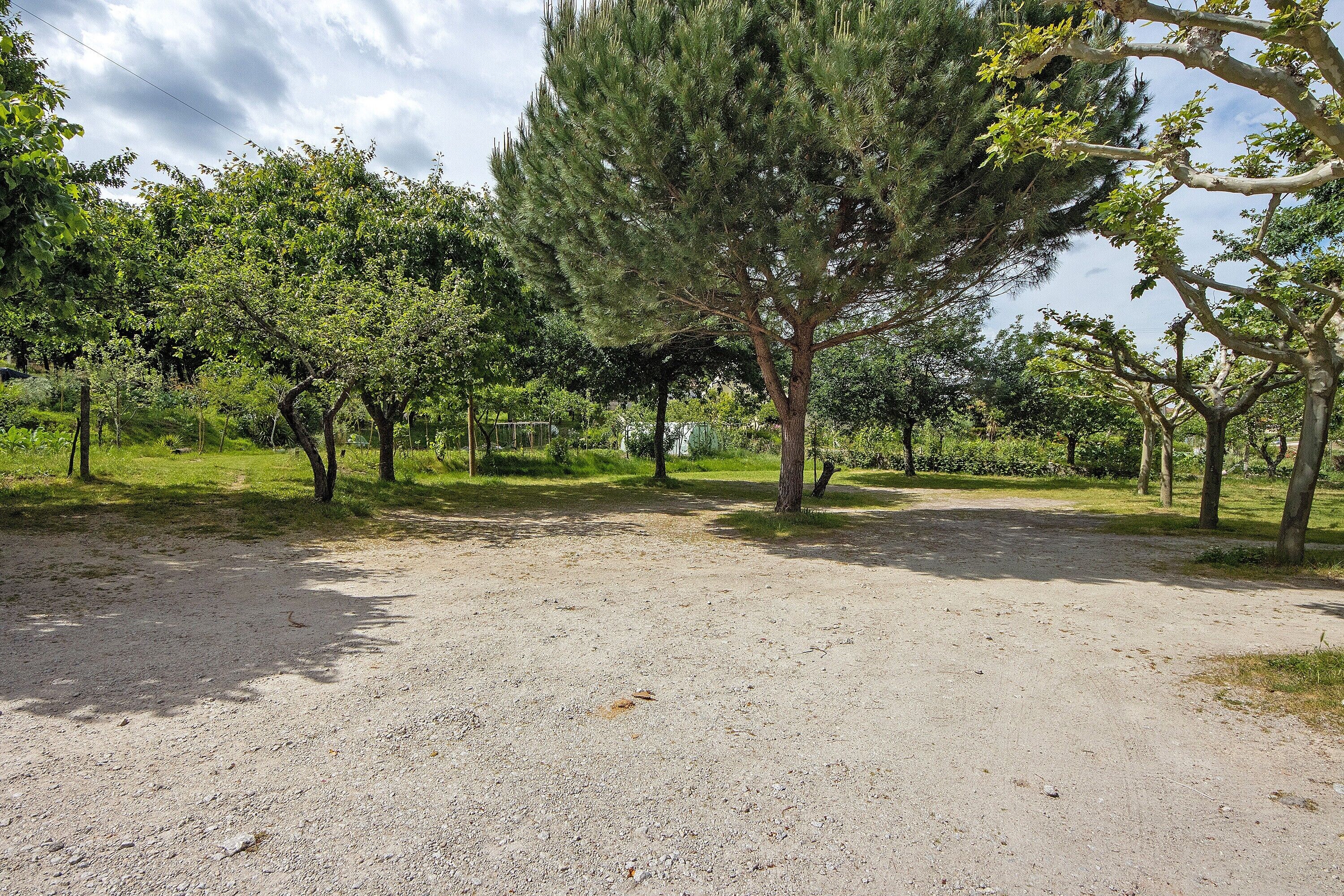 Un sendero de grava rodeado de árboles en un parque.