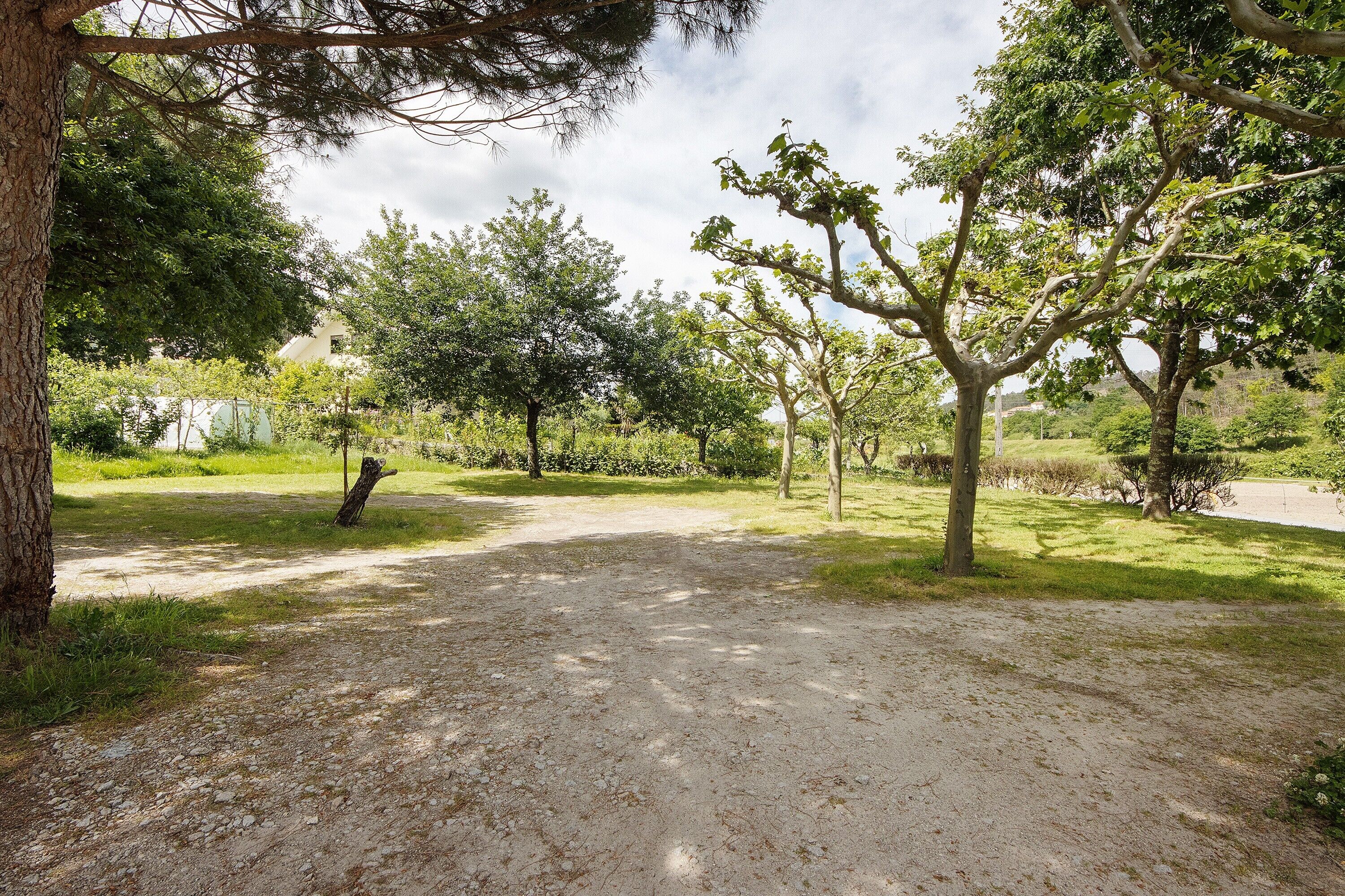 Ein Kiesweg führt durch einen Park mit Bäumen und einem Gebäude im Hintergrund.