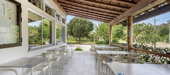 Room 'Quarto 7 - Jorge Galinheiro' with Mountain View, Shared Garden and Wi-Fi