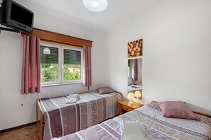 Une chambre avec deux lits, une télévision, une fenêtre avec des rideaux et un miroir.