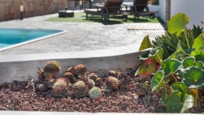 A pool, outdoor seating, and various plants. - 'Marcela Joaquin  Mountain House' with Sea View, Private Pool and Wi-Fi (Fasnia)