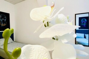 1 slaapkamer, beddengoed