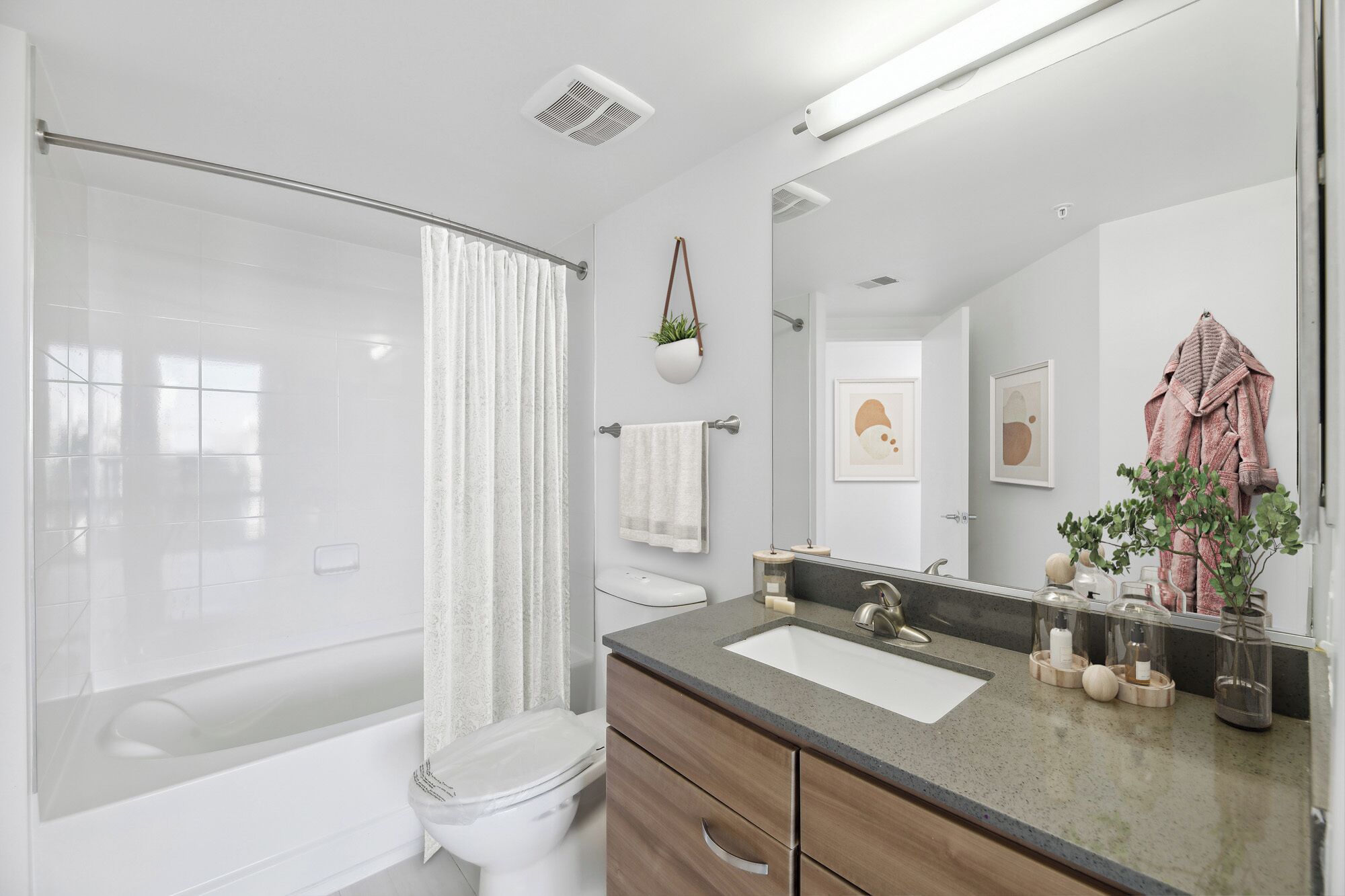 Shower, hair dryer