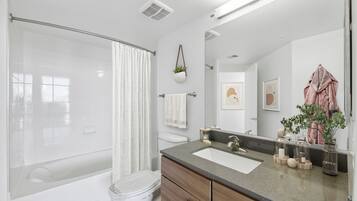 Shower, hair dryer