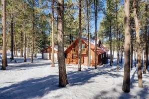Exterior - Home close to the Lake and Overlooking Cougar Trail (Angel Fire)