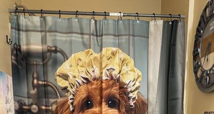 Charming 2bedroom, 2FULL bathroom house with AC and WiFi 10 minutes from Walmart