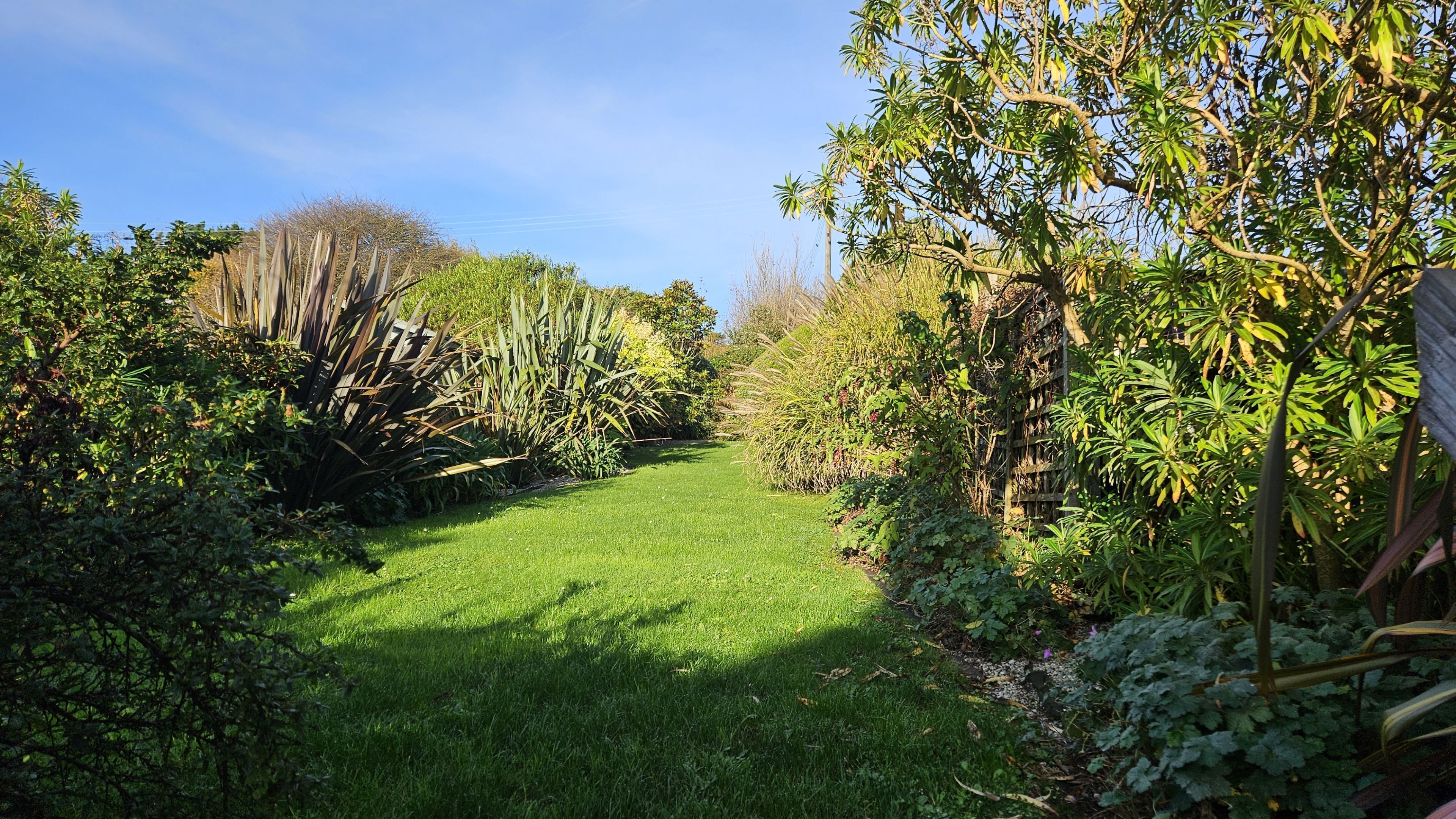 A lush garden with a variety of plants and a clear path.