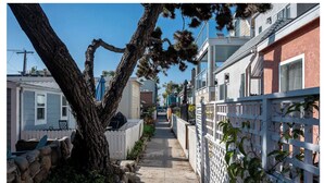 Una calle residencial estrecha flanqueada por casas, un camino arbolado y una cerca de piquetes blancos.