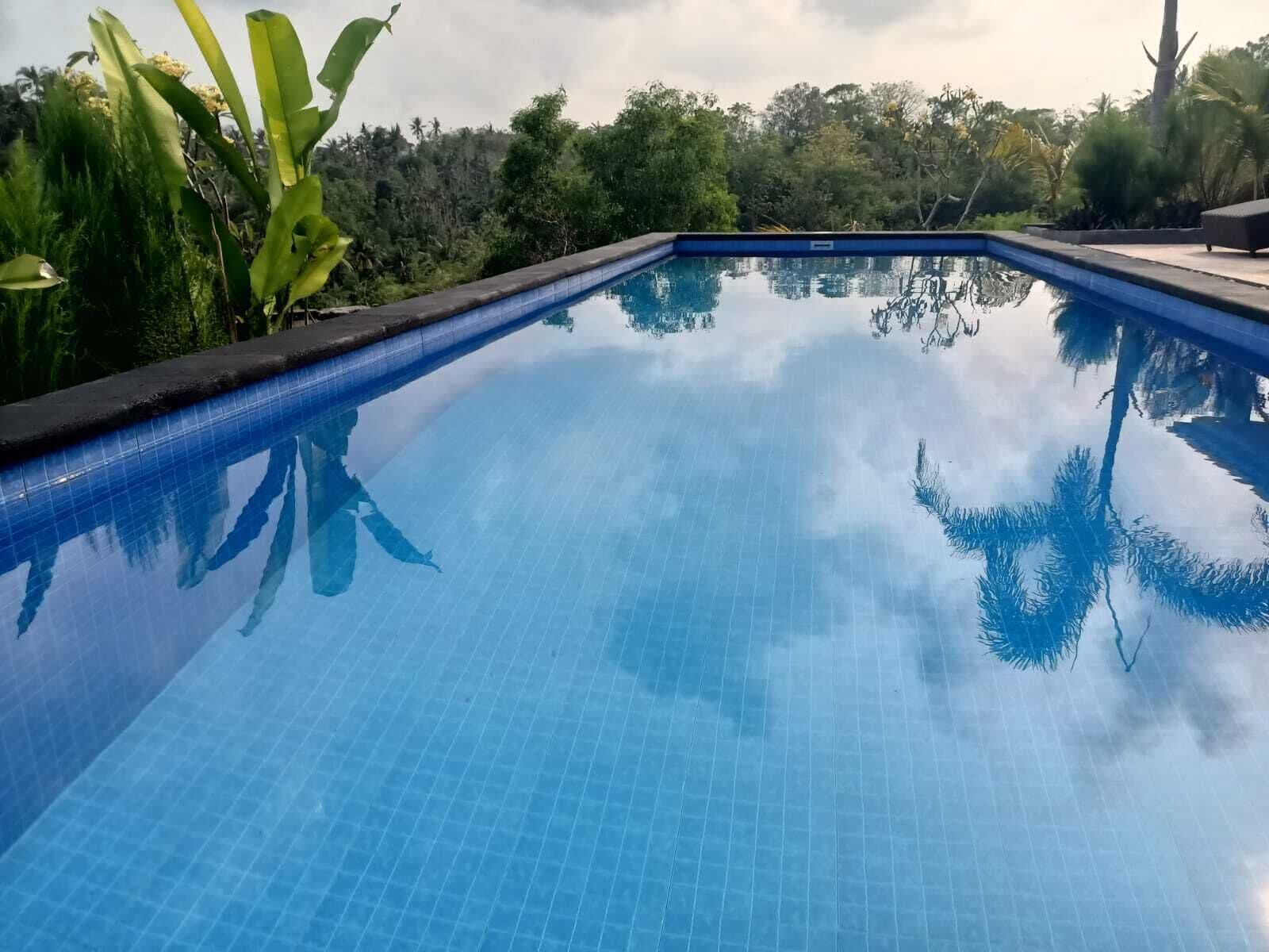 A rectangular swimming pool with clear blue water, surrounded by lush greenery and trees.