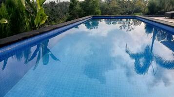 A rectangular swimming pool with clear blue water, surrounded by lush greenery and trees.