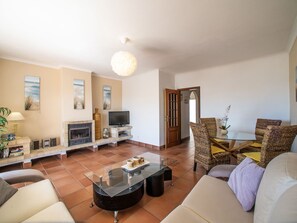 Televisión y chimenea 