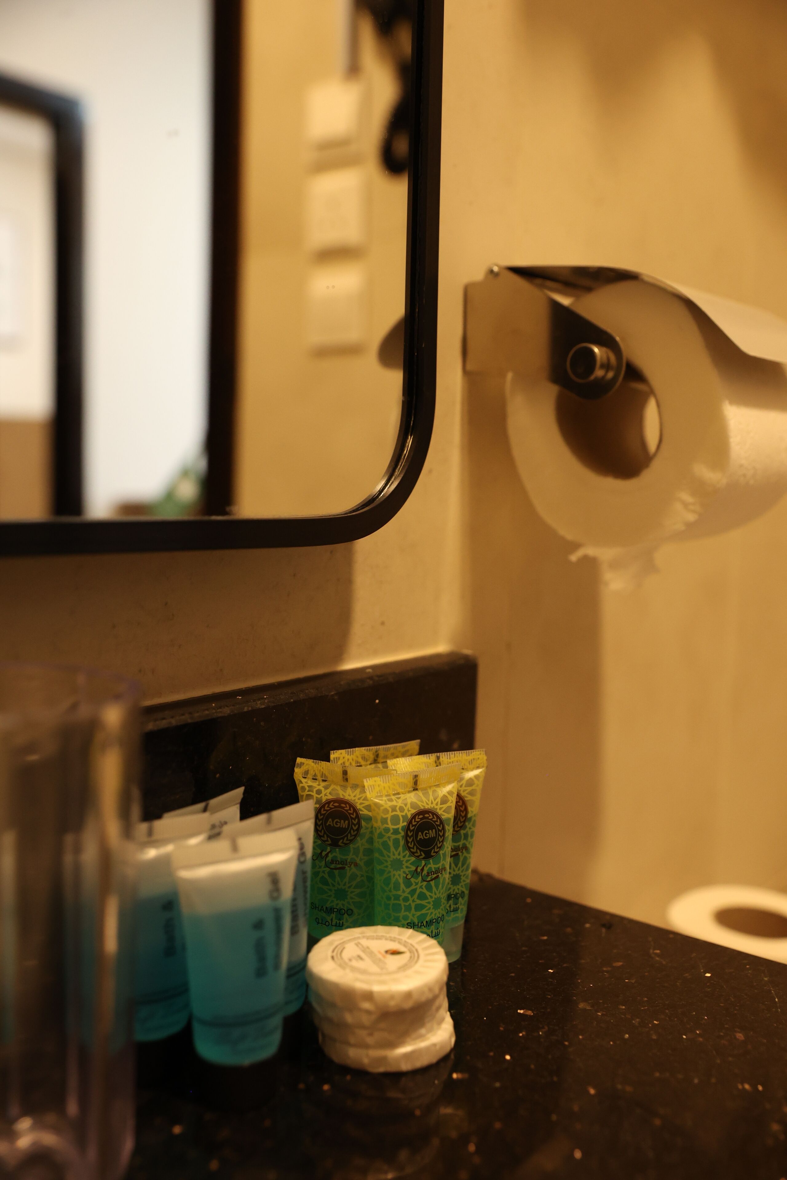 A bathroom counter with toiletries, a mirror, and a toilet paper holder.