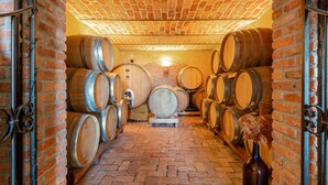 A cellar with wooden wine barrels stacked against brick walls, a brick floor, and a vaulted ceiling. - Tenuta Bricco San Giorgio by Interhome (Vinchio)